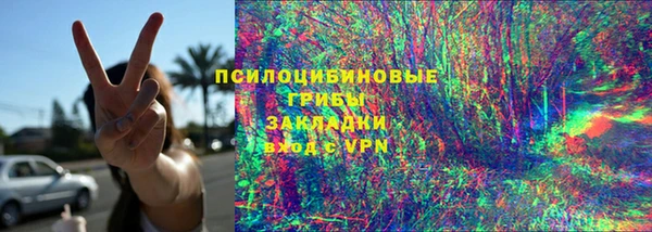 сатива Вяземский