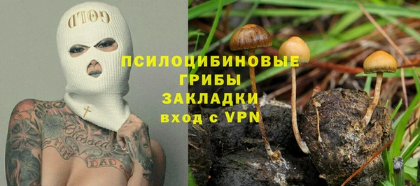 сатива Вяземский