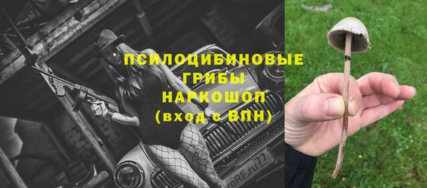 МДПВ Володарск
